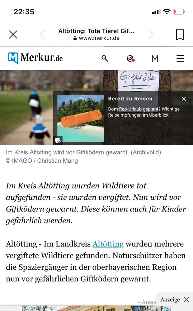Giftköder-Giftköder-Profilbild