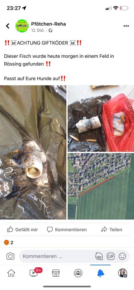 Giftköder-Fisch Köder-Profilbild