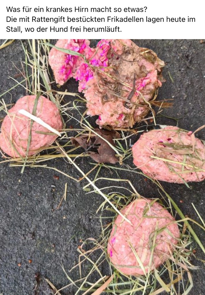Giftköder-Fleisch mit Rattengift-Profilbild