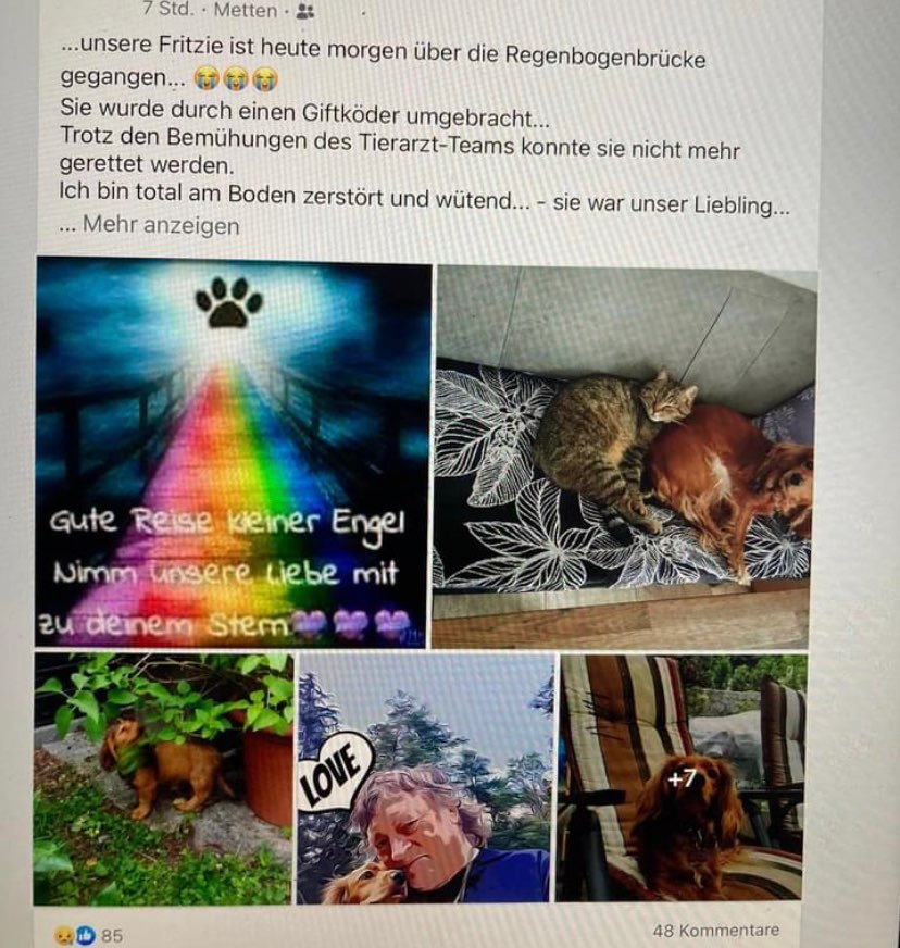 Giftköder-Giftköder in Metten-Profilbild