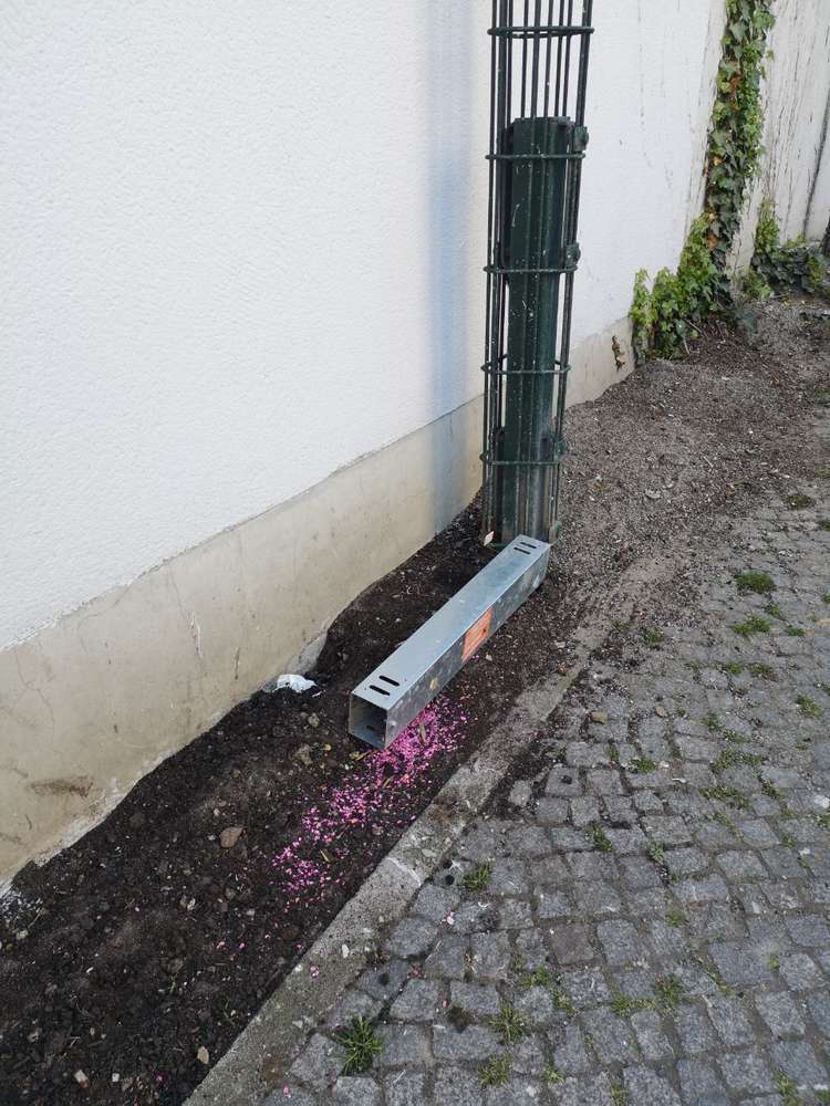 Giftköder-Rattengift-Profilbild