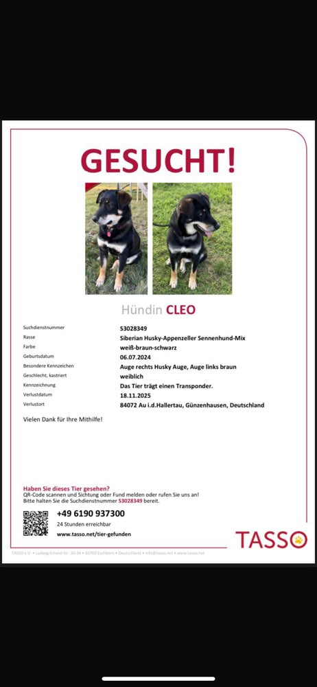 Suchmeldung-CLEO-Profilbild