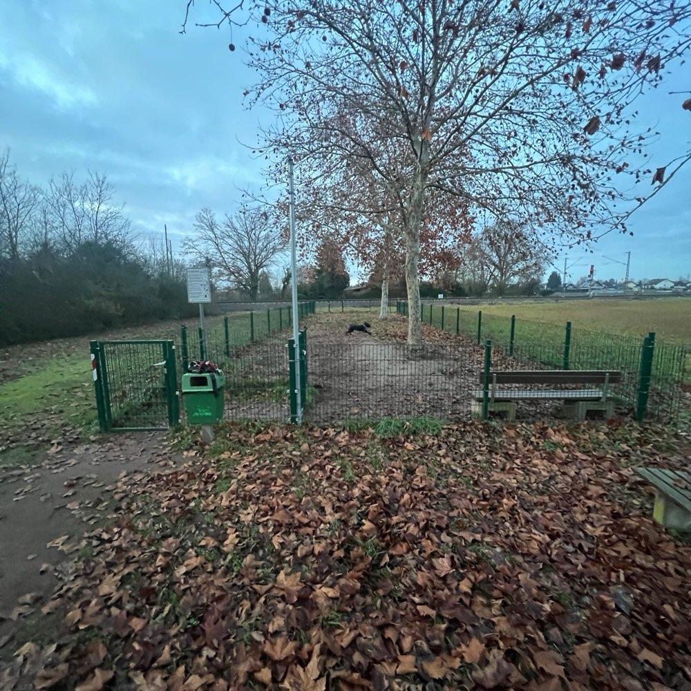 Hundetreffen-Neujahrs-Treffen-Profilbild