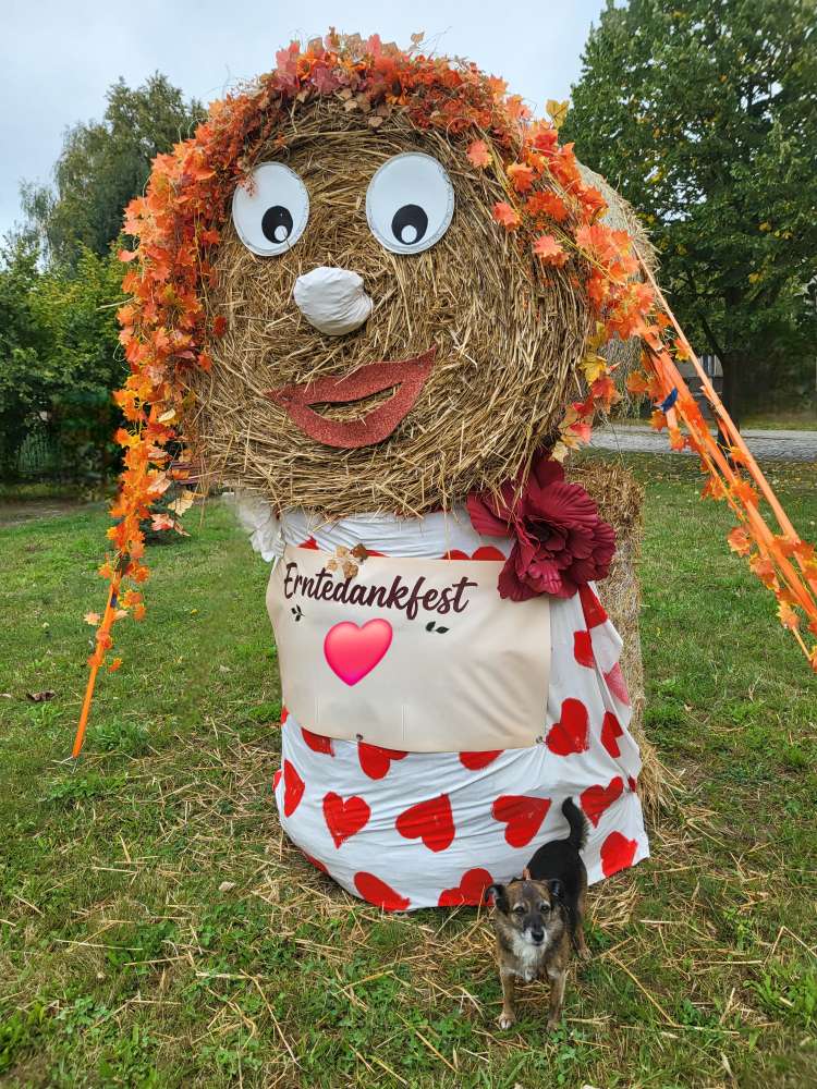 Dein Wuffi zum Erntedankfest Banner