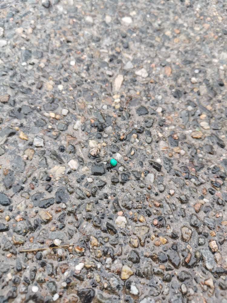 Giftköder-Giftiges Düngemittel-Profilbild