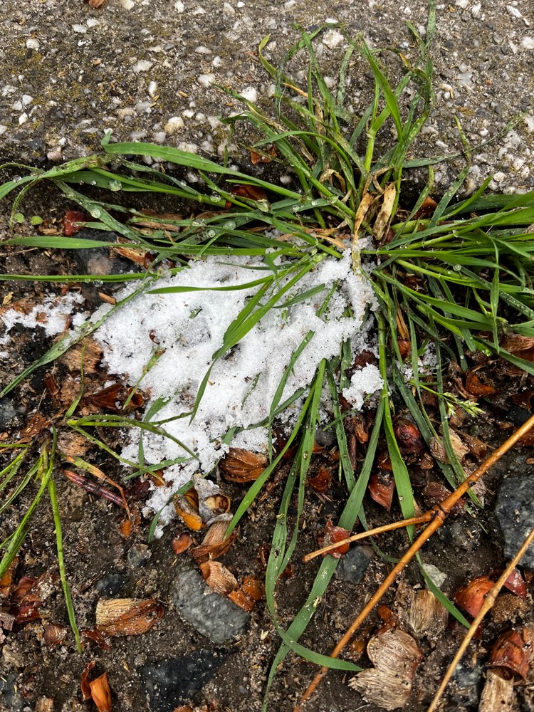 Giftköder-Weiße Substanz verstreut!-Profilbild