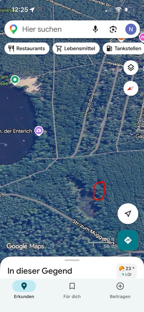 Giftköder-Eichenprozessionsspinner-Profilbild