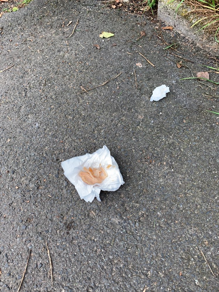 Giftköder-Fleisch in Taschentüchern-Profilbild