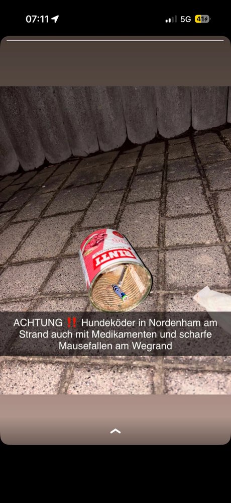 Giftköder-Giftköder-Profilbild