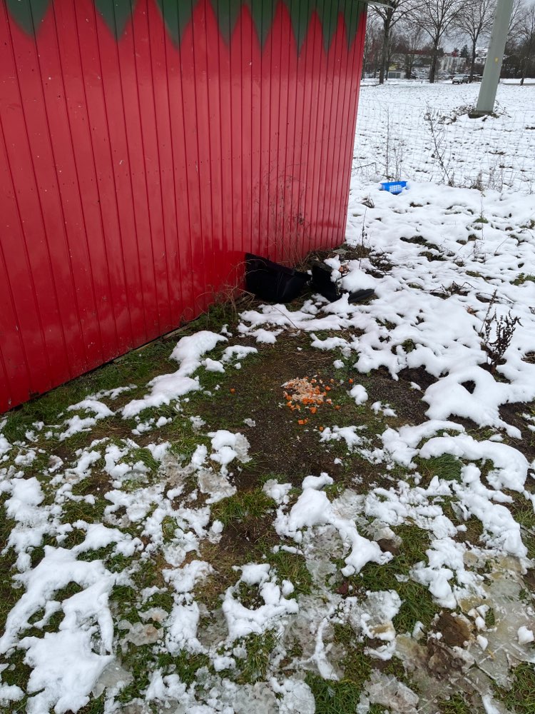 Giftköder-Fleischbrocken-Profilbild