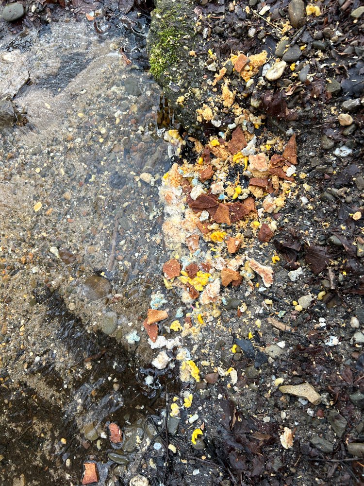 Giftköder-Sieht aus wie Giftköder-Profilbild