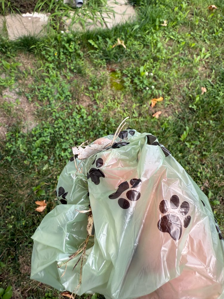 Giftköder-Rasierklingen-Profilbild