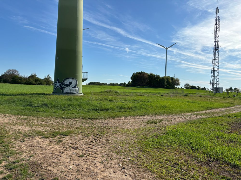 Giftköder-Blaukorn in Ebersheim-Profilbild