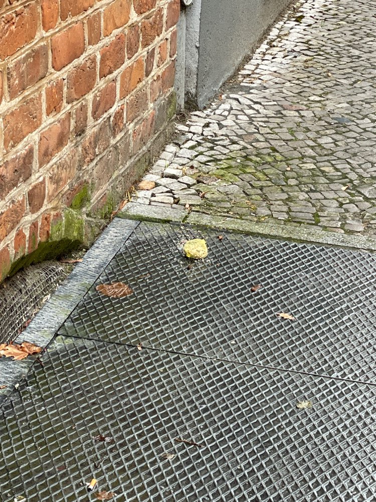 Giftköder-Ausgestreutes Vogelfutter/Futternetz-Profilbild