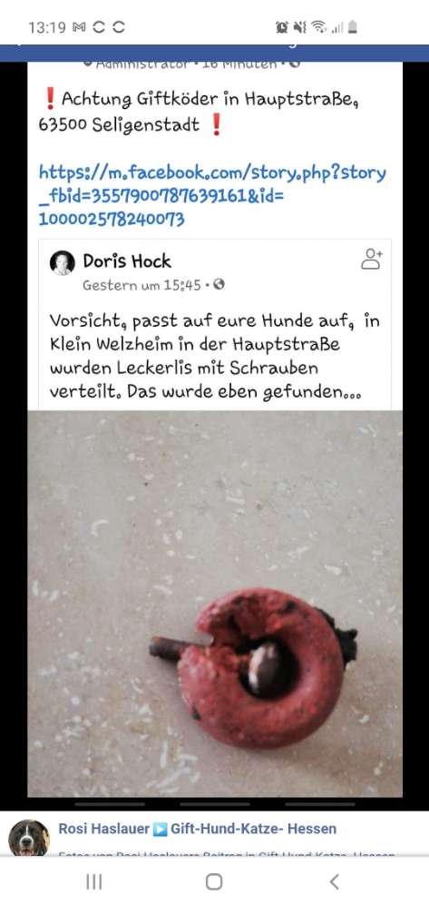 Giftköder-Köder mit Schrauben-Profilbild