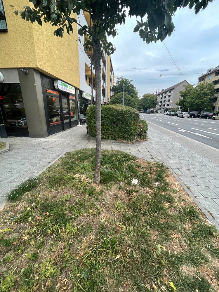 Giftköder-Brot wurde ausgelegt-Profilbild