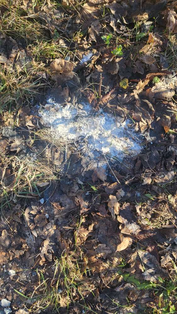 Giftköder-Weißes Pulver-Profilbild