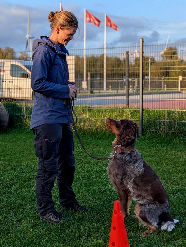 Hundetreffen-Trainingskumpel-Profilbild