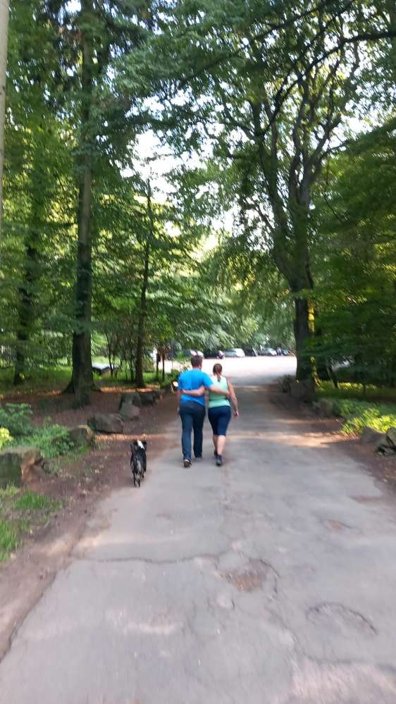 Hundetreffen-Toben in Abstatt-Profilbild