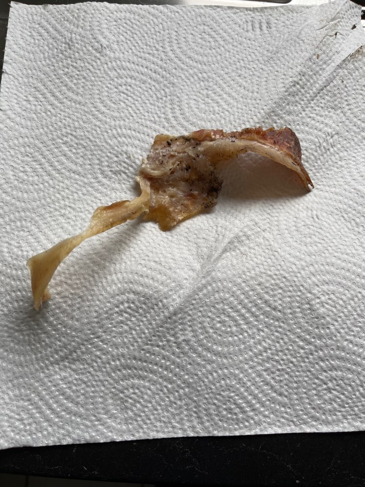 Giftköder-Fleischstück-Profilbild