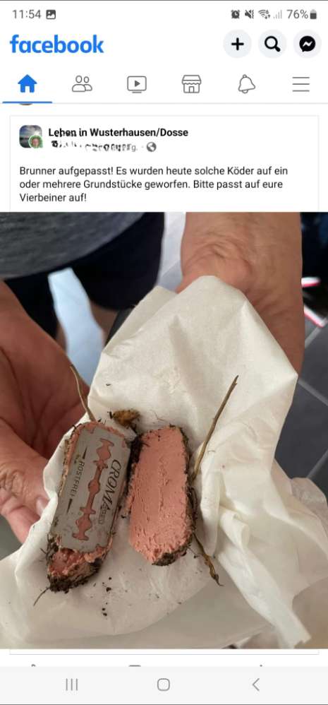 Giftköder-Köder mit Rasierklingen in Brunn!-Profilbild
