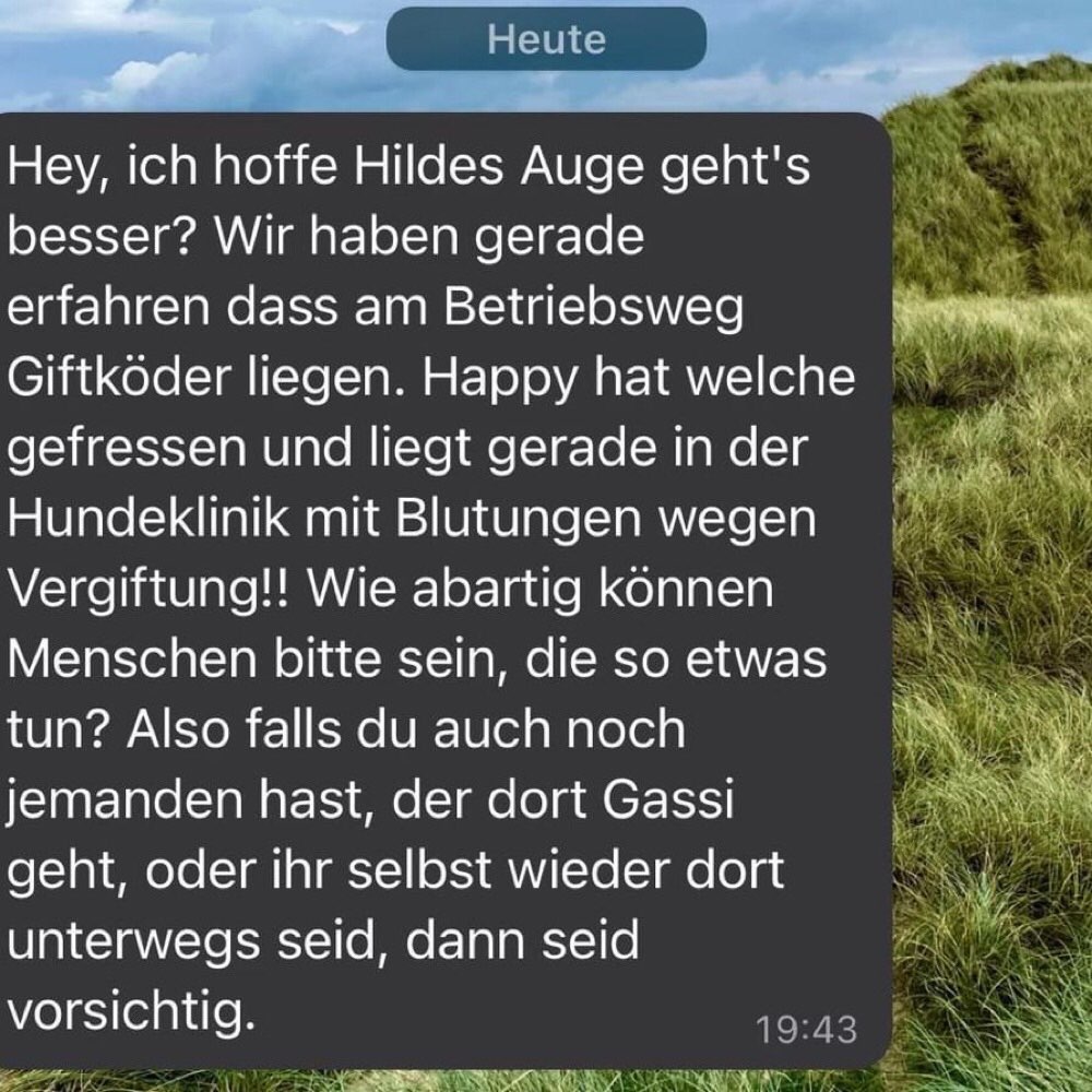 Giftköder-Giftköder-Profilbild