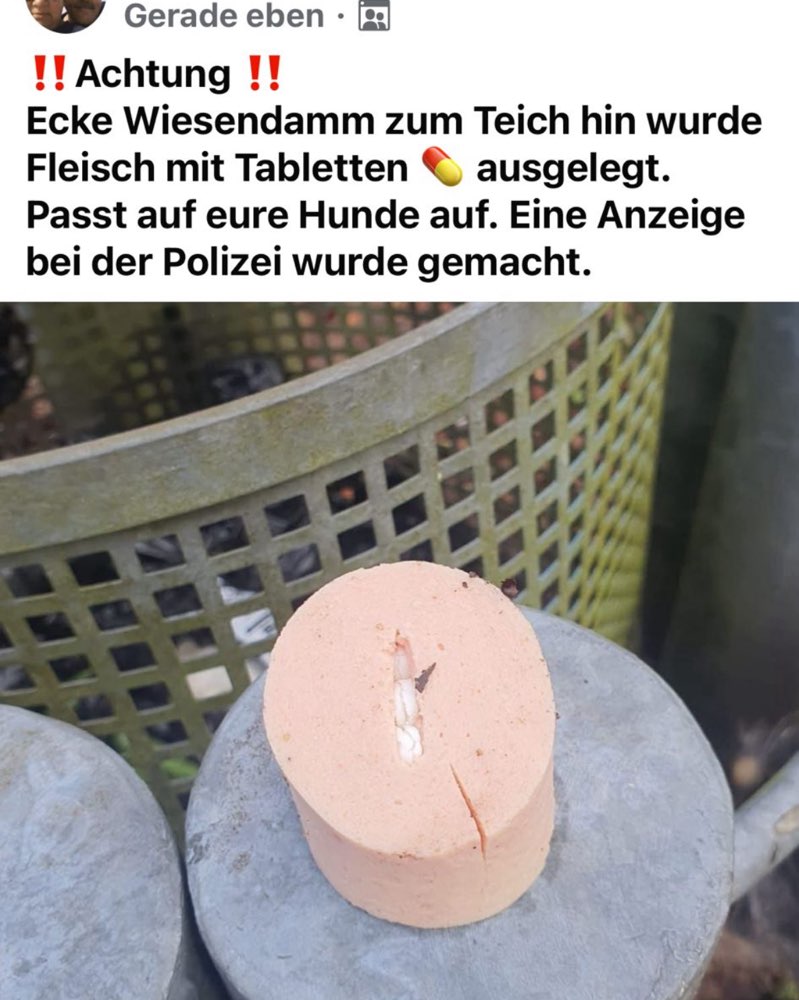 Giftköder-Giftköder gefunden! Achtung!-Profilbild