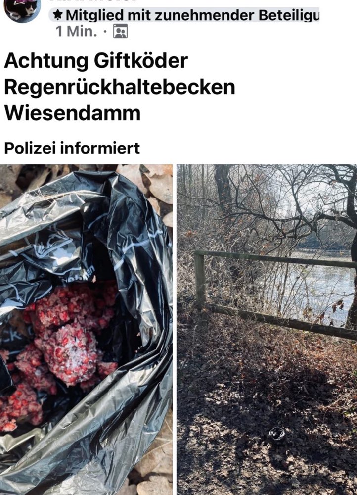 Giftköder-Giftköder gefunden! Achtung!-Profilbild