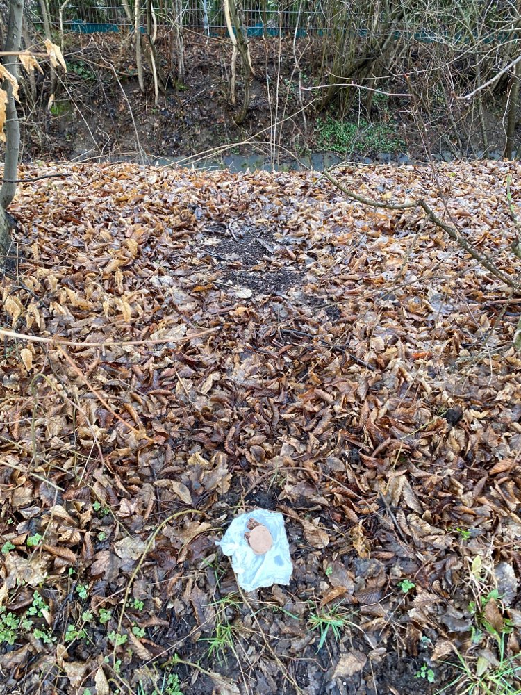 Giftköder-Wurstscheiben-Profilbild