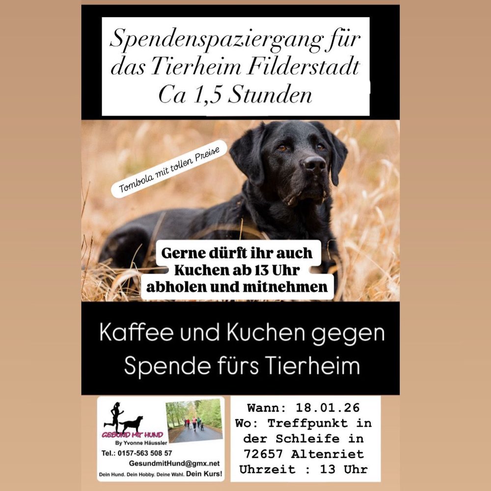 Hundetreffen-Spendenspaziergang-Profilbild