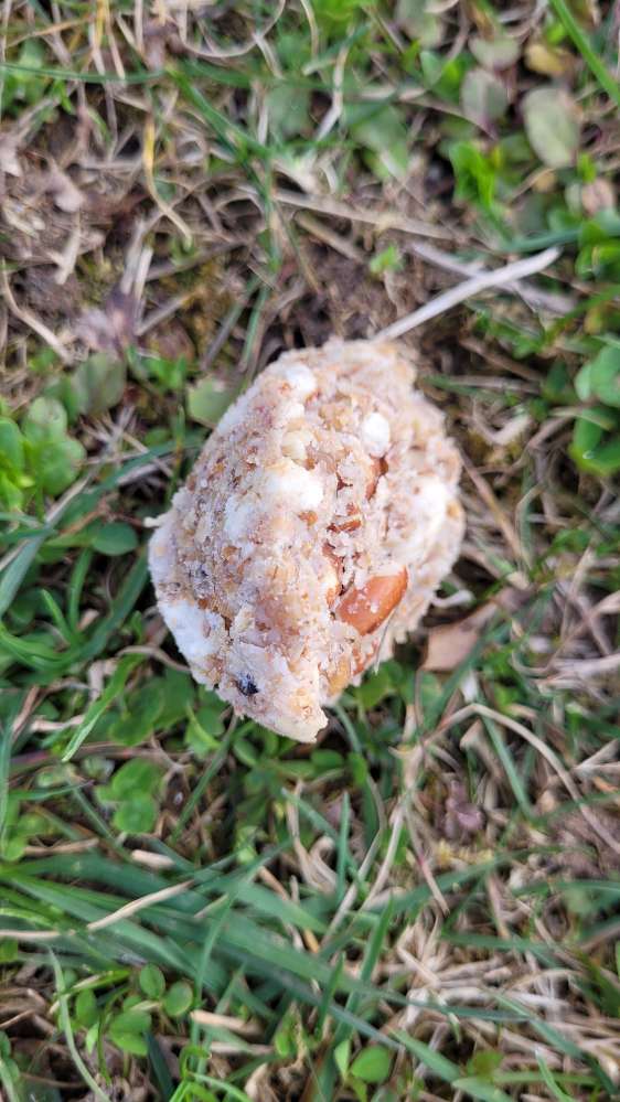 Giftköder-Fleischknödel neben dem Weg-Profilbild