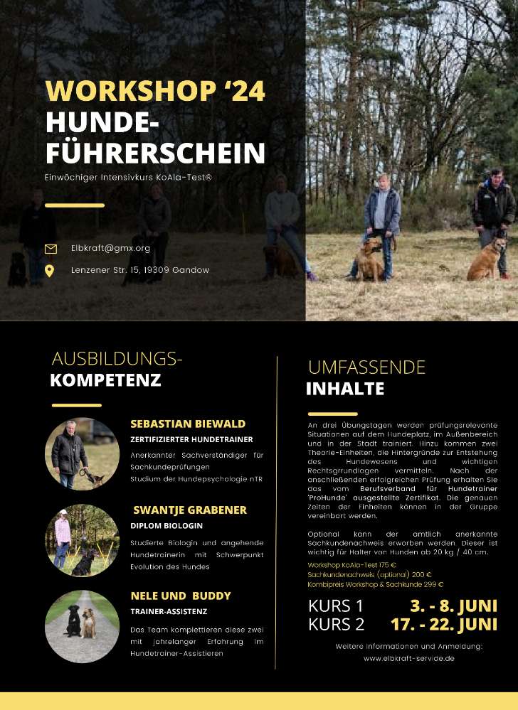 Hundetreffen-Workshop Hundeführerschein-Profilbild