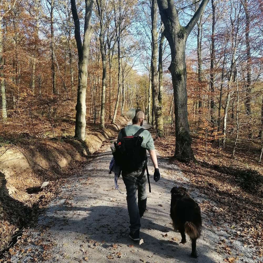 Hundetreffen-Spiel und Gassi Runden-Profilbild