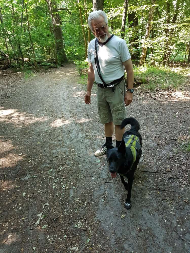 Hundetreffen-Treffen täglich an verschiedene Orte in Spandau und Reinickendorf.-Profilbild