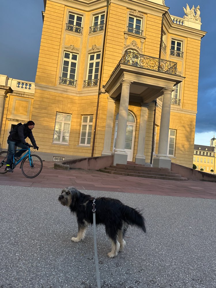 Hundetreffen-Schloss Park mittags Runde-Profilbild