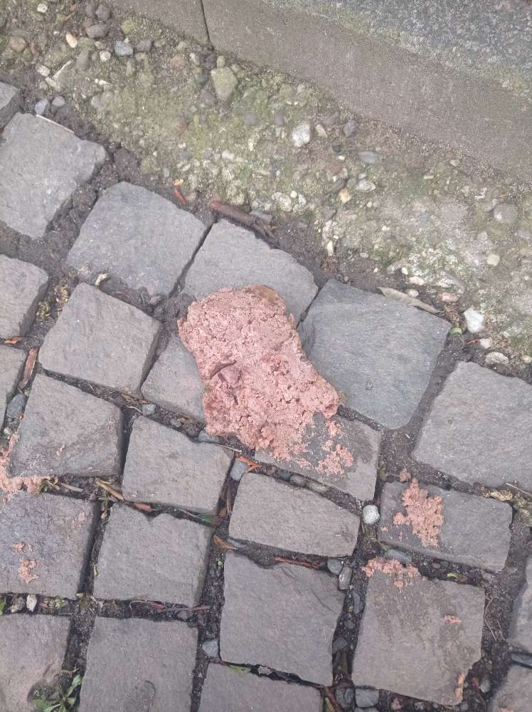 Giftköder-Großer Haufen Feuchtfutter-Profilbild