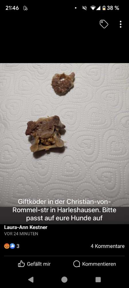Giftköder-Giftköder-Profilbild