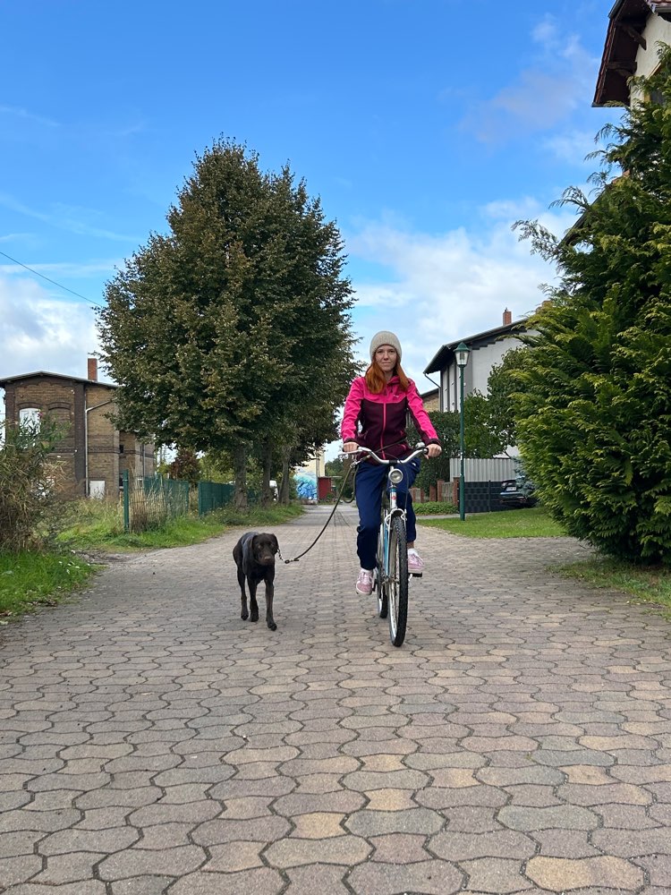 Hundetreffen-Hundefreund/Freundin gesucht-Profilbild