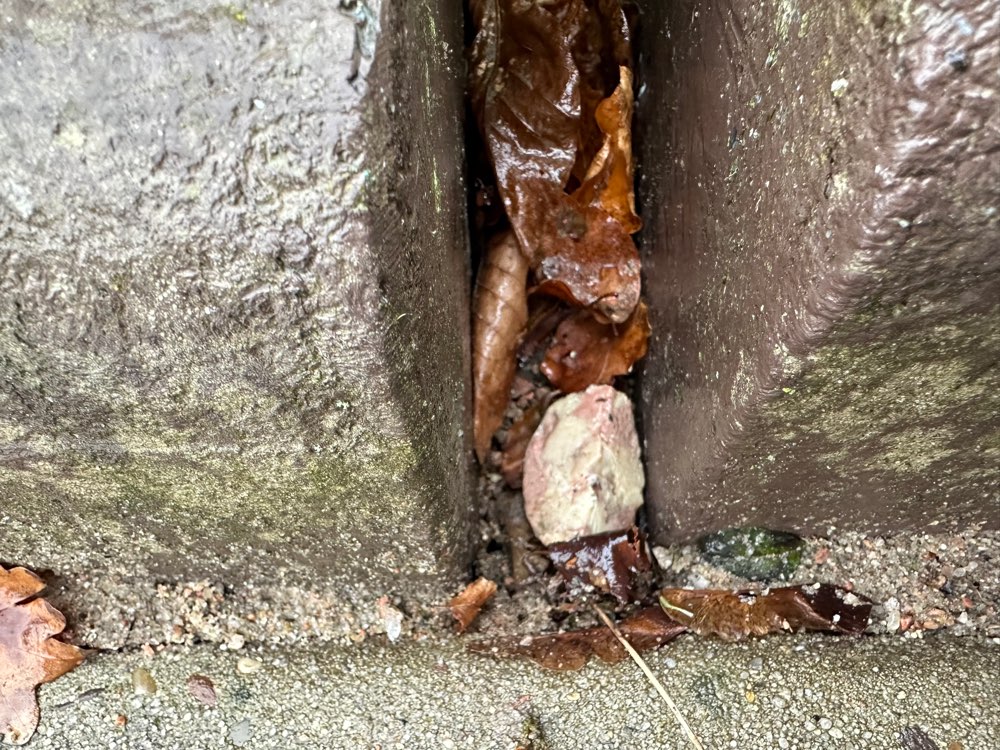 Giftköder-Wurst/Fleisch/Käse auf Spielplatz-Profilbild