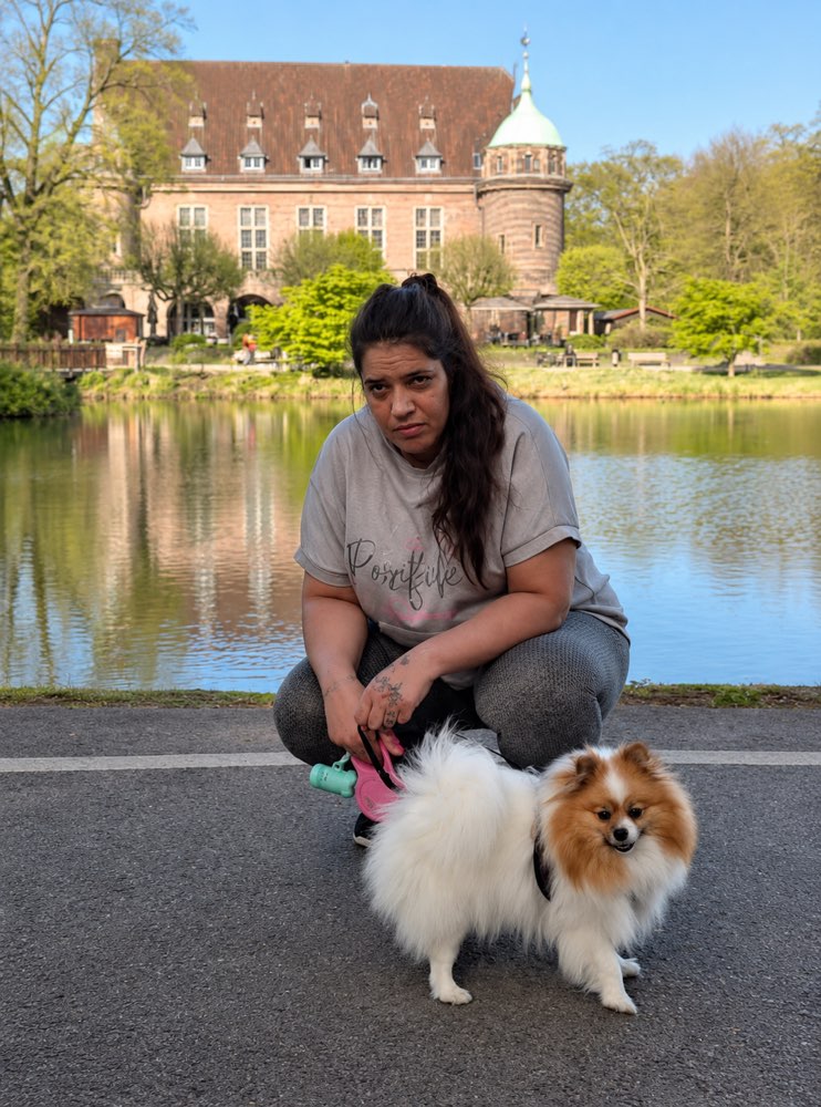 Hundetreffen-Suche Sozialkontakte für meine zwergspitz Hündin-Profilbild