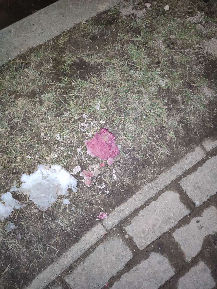 Giftköder-Giftköder-Profilbild