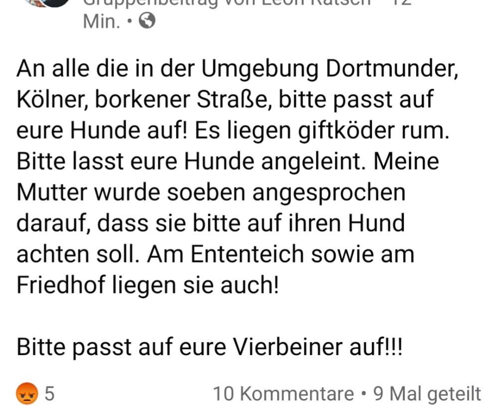 Giftköder-Giftköder-Profilbild
