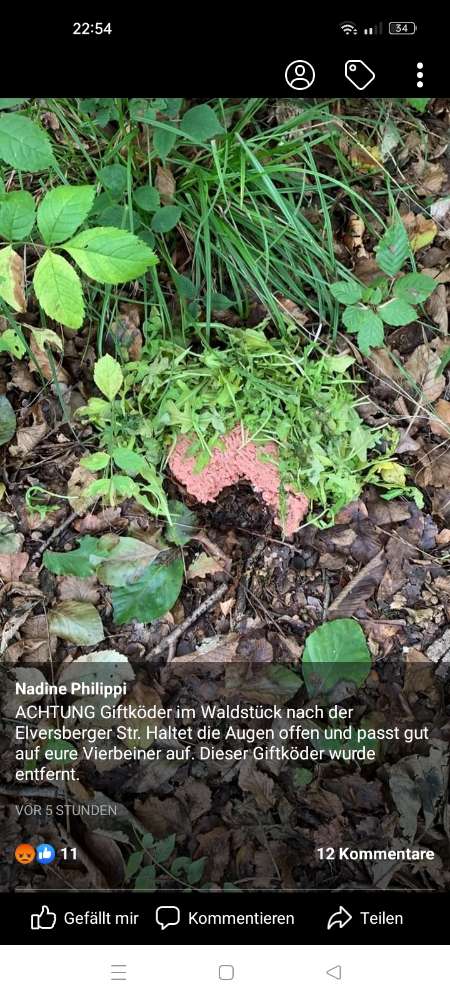 Giftköder-Giftköder-Profilbild