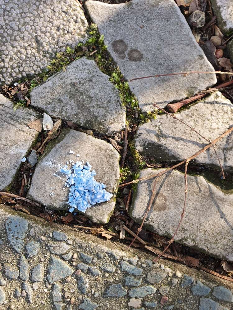 Giftköder-Eventuell Schneckenkorn-Profilbild