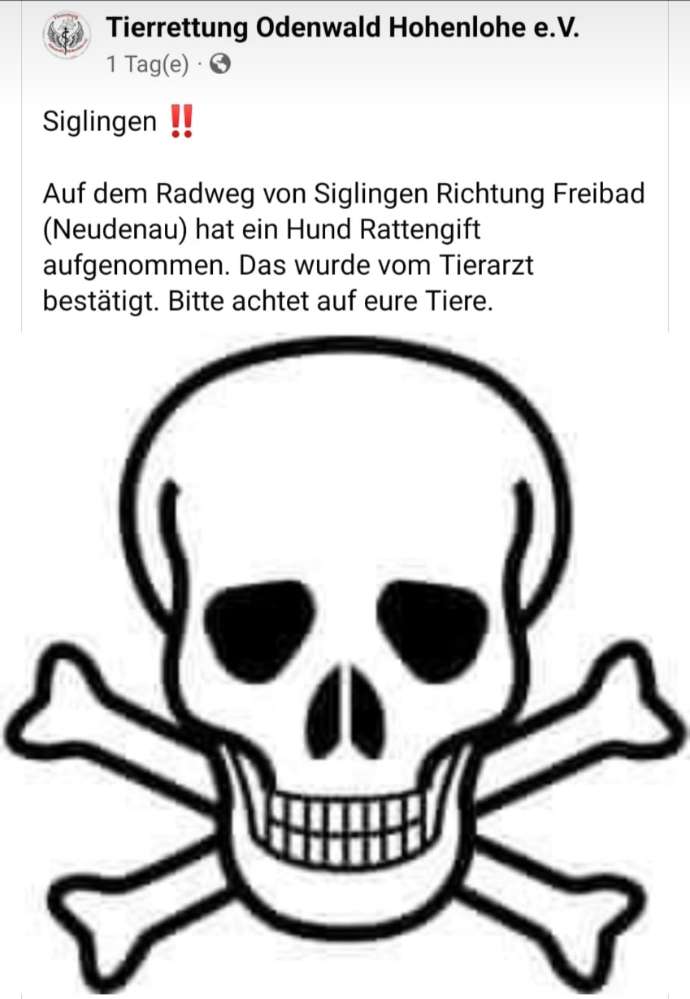 Giftköder-Rattengift-Profilbild