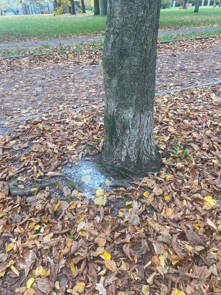 Giftköder-Weißes Pulver | Volkspark Friedrichshain-Profilbild