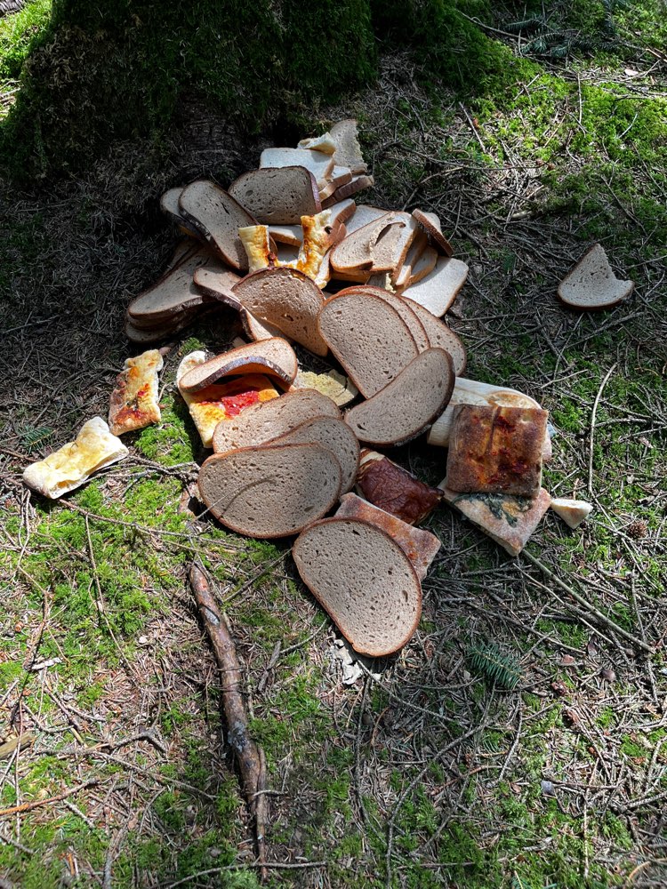 Giftköder-evtl. Giftköder-Profilbild