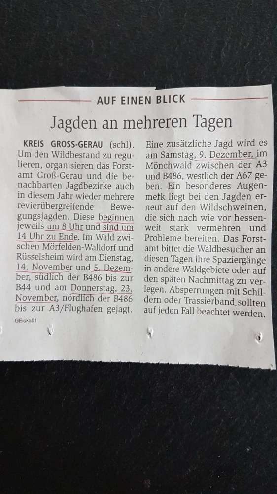 Giftköder-Jagdsaison-Profilbild