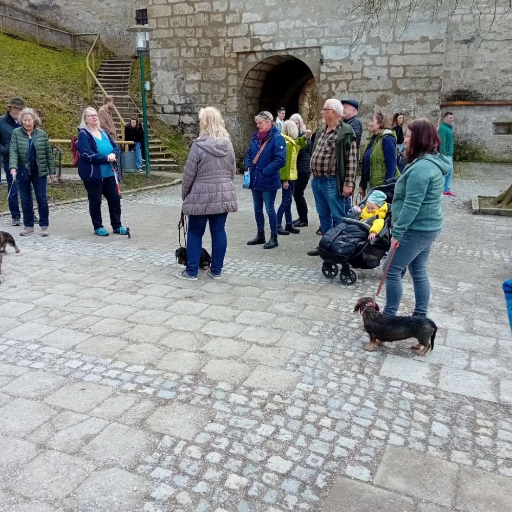 Hundetreffen-Dackeltreffen auch kleine Hunde sind willkommen-Profilbild