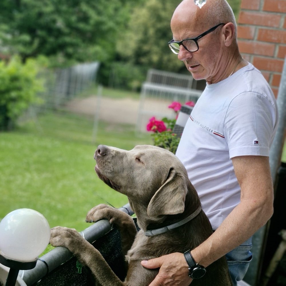 Hundetreffen-Hundetreff-Profilbild